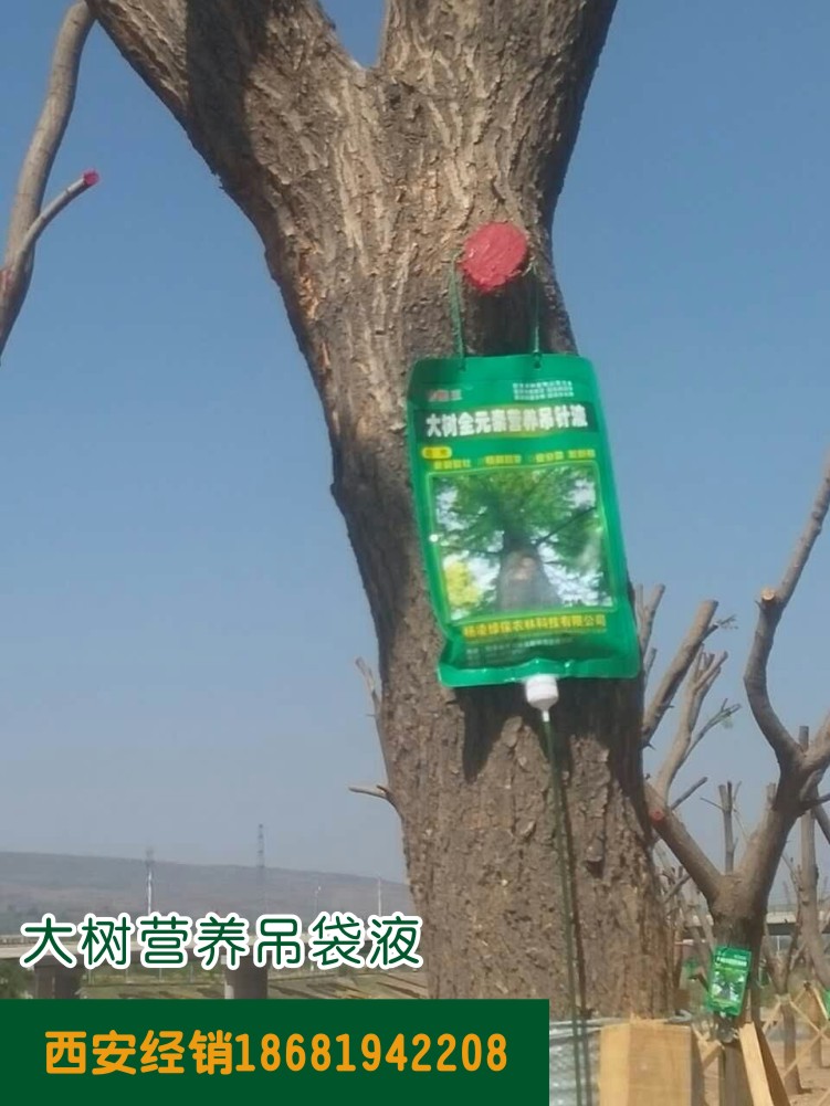 大樹營養(yǎng)吊袋液產(chǎn)品使用圖
